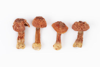Close-up of cookies against white background
