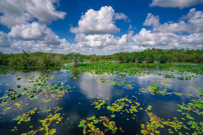 Scenic view of lake against cloudy sky in everglades national park.