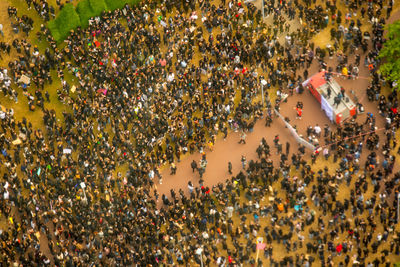 High angle view of crowd on tree