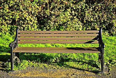 Empty bench in park