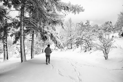 Rear view of man walking on snow against trees