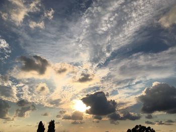 Low angle view of silhouette trees against sky