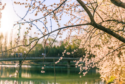 Scenic view of lake