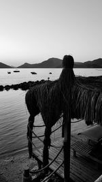 Rear view of horse standing on beach against clear sky