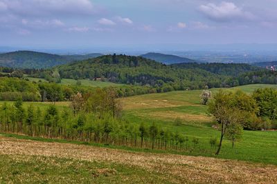 Scenic view of landscape against sky