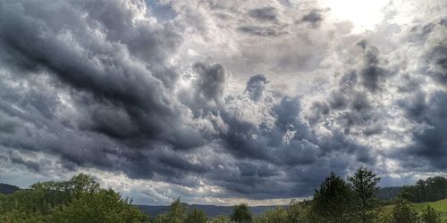 Low angle view of trees against cloudy sky