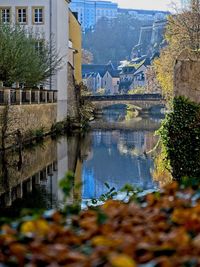 Reflection of buildings in river