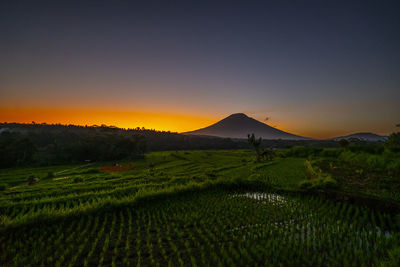 Scenic view of agricultural field against sky during sunset