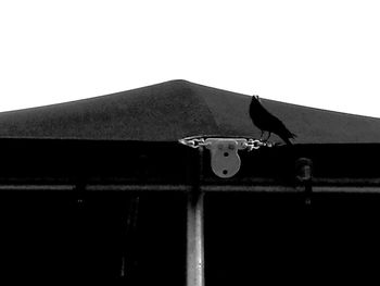 View of a bird against clear sky