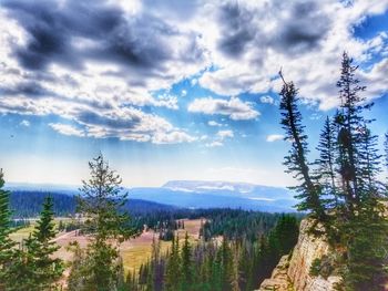 Scenic view of tree mountains against sky