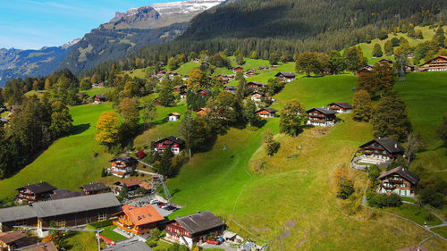 High angle view of trees and houses on field