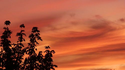 Low angle view of silhouette trees against dramatic sky