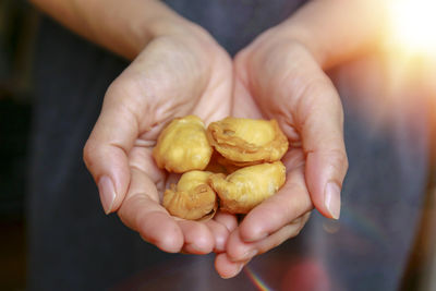 Close-up of person holding fruit