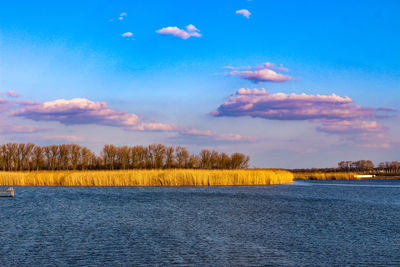 Scenic view of lake against blue sky