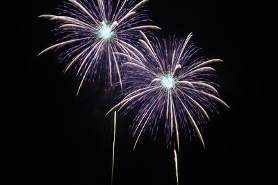 Low angle view of firework display at night