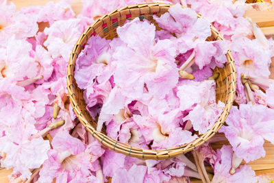 High angle view of pink flowering plants in basket