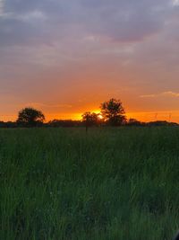 Scenic view of field against sky during sunset