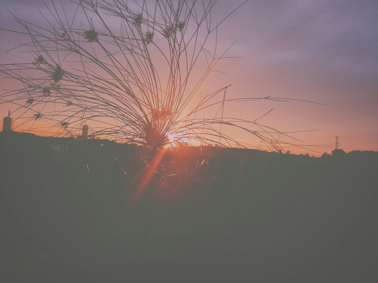 sunset, silhouette, tranquility, sky, beauty in nature, tranquil scene, scenics, sun, tree, bare tree, nature, orange color, idyllic, branch, sunlight, landscape, cloud - sky, outdoors, no people, low angle view