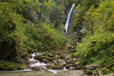 Scenic view of waterfall in forest