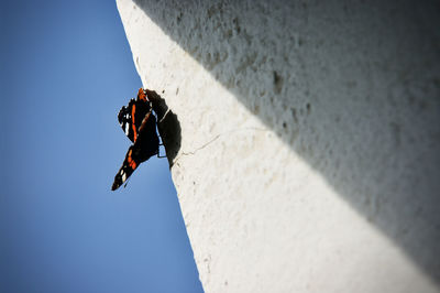 Shadow of man on rock