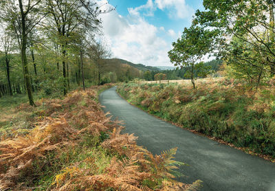 Road amidst trees in forest against sky