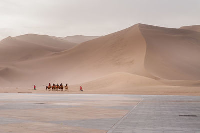 Group of people on sand dune