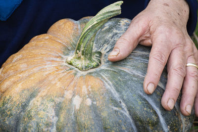 Close-up of hands holding food