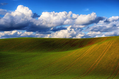 Scenic view of agricultural field against sky