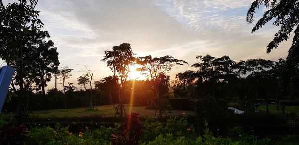 Silhouette trees on field against sky at sunset