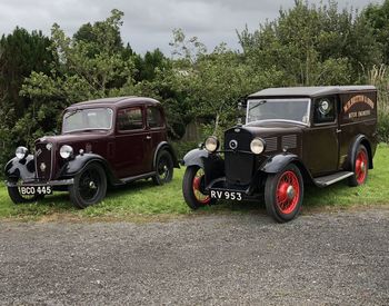 Vintage car on field against trees