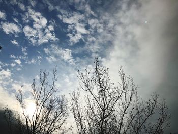 Low angle view of silhouette bare tree against sky