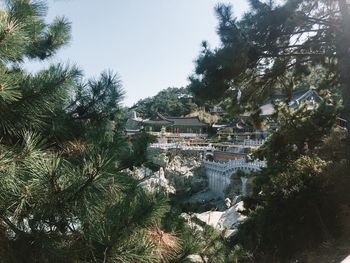 High angle view of trees against sky