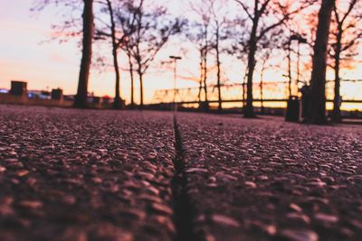 Surface level of bare trees against sky during sunset