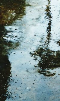 Reflection of trees in water