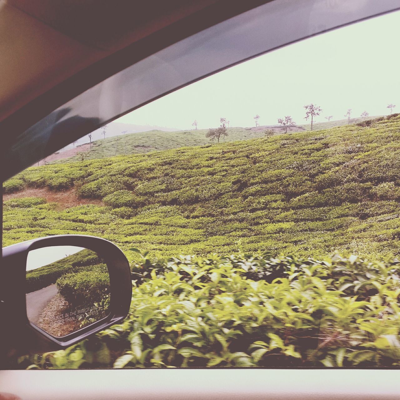 transportation, mode of transport, vehicle interior, land vehicle, field, car, window, landscape, grass, transparent, glass - material, growth, plant, part of, cropped, car interior, side-view mirror, nature, sky, day