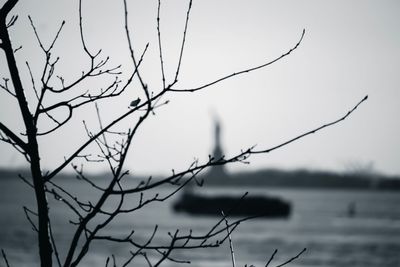 Close-up of silhouette bare tree against sky