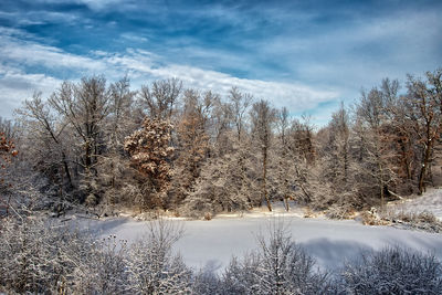 Snow covered landscape