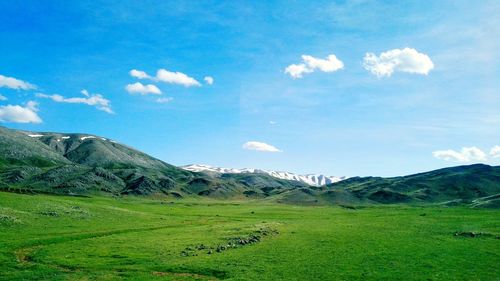 Scenic view of field against sky