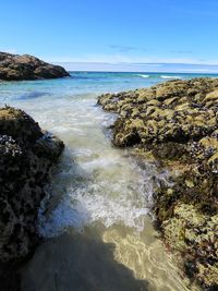 Scenic view of sea against clear blue sky