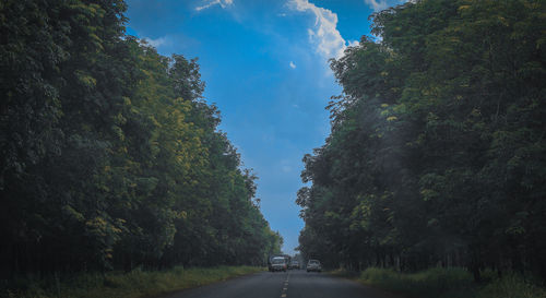 Road amidst trees against sky