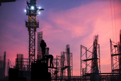 Cranes at sunset