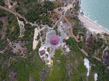 High angle view of trees by sea