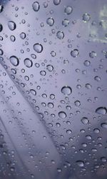 Close-up of water drops on leaf