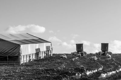 Barn on field by buildings against sky