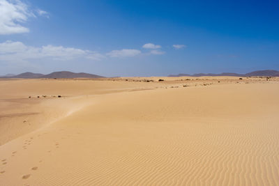 Scenic view of desert against blue sky