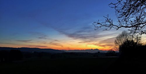 Silhouette of trees at sunset