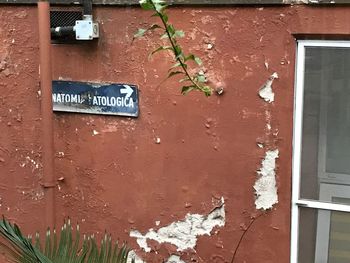 Close-up of brick wall