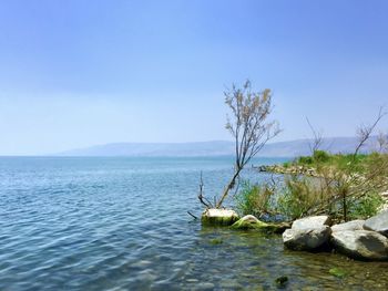 Scenic view of sea against clear sky