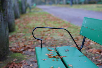 Close-up of green leaf