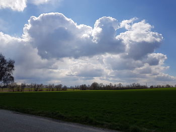 Scenic view of field against sky